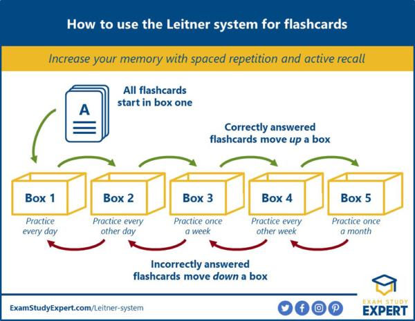 A diagram of how to use the Leitner system for flashcards